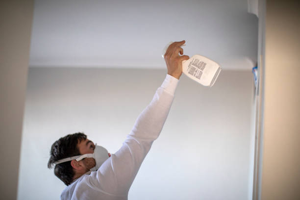 Best Mold Cleaning Services  in Corcoran, MN
