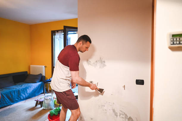 Best Best Mold Removal Companies  in Corcoran, MN